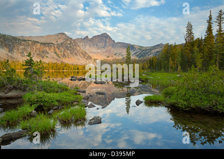 Warren Peak and Warren Lake in the Anaconda Pintler Wilderness of Montana. Summer. USA Stock Photo