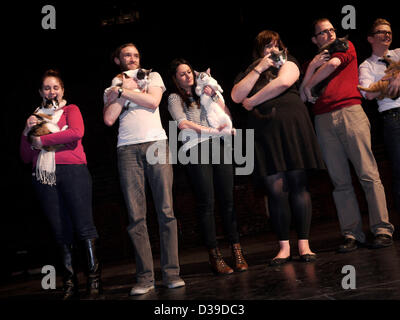 New York, USA. 13th February 2013.  Open call auditions for cats to play The Cat in the upcoming Broadway production of 'Breakfast At Tiffany's.' (Credit Image: Credit:  John Marshall Mantel/ZUMAPRESS.com/Alamy Live News) Stock Photo