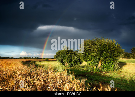 Natural rainbow over green field and dark sky Stock Photo