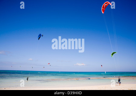 Kite surfers, fuerteventura, Canary islands, Spain, beach sand blue sky, Parque Natural de Las Dunas de Corralejo, Stock Photo