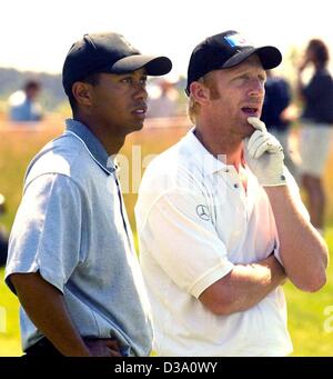 (dpa) - US golf champion Tiger Woods (L) and Boris Becker (R), German world tennis star and hobby golfer, play a fun match at the Pro-Am-golf tournament in St. Leon-Rot, Germany, 16 May 2002. The hobby golf tournament took place prior to the professional 'Deutsche Bank - SAP Open'. Stock Photo