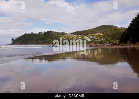 Mercury Bay Coromandel Peninsula New Zealand Stock Photo