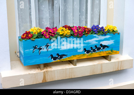 Decorative window box, UK Stock Photo