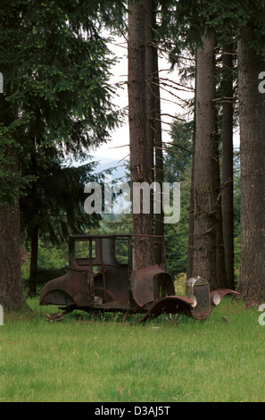 A antique Model A Ford sits in a forest of fir trees Pacific Northwest Oregon, USA, Stock Photo