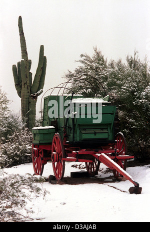 Chuck wagon Sonoran Desert snow with saguaro cactus Arizona, Arizona landscape,wagon,wagon in snow,saguaro cactus, Stock Photo