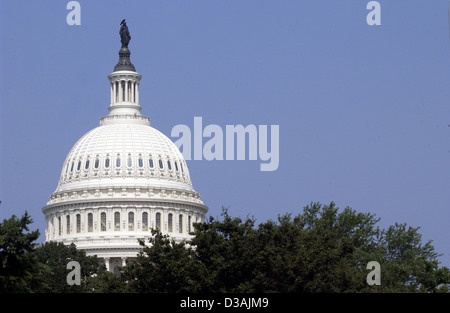 United States Capitol dome with dark blue sky and trees in foreground Washington, D.C., Capitol building, US Capitol, Stock Photo