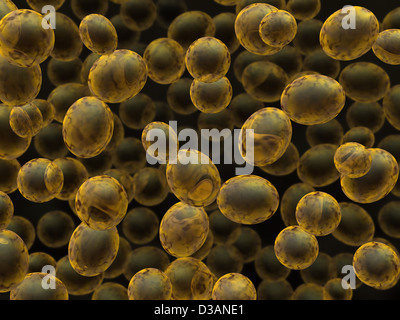 3d rendered illustration of bakers (budding) yeast used for beer-brewing and baking Stock Photo
