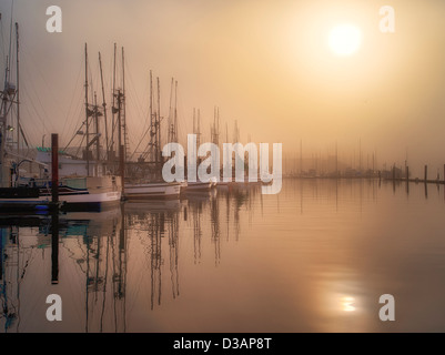 Sunrise through fog with boats at Newport Harbor. Oregon Stock Photo