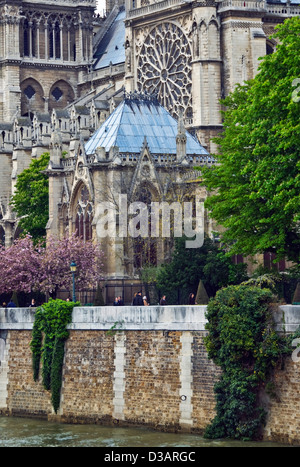 France Paris Notre Dame gothic cathedral close-up catholic church Seine river water trees island plant flowering Stock Photo