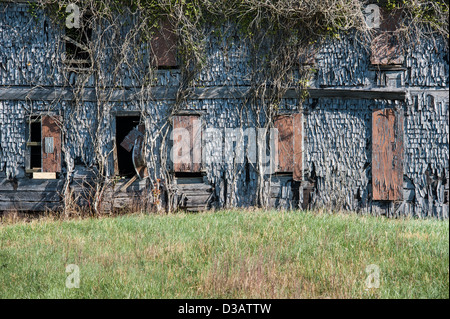 Overgrown 1890 Shingle House, the last remaining building of the Creighton/Franklin Gold Mine in Ball Ground, Georgia. (USA) Stock Photo