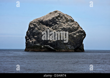 The sea stacs of Stac Lee, Stac An Armin and the island of Boreray with sea bird colonies, Hilda in the St Kilda archipelago Stock Photo