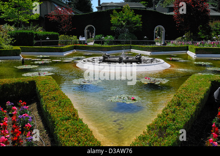 Star Garden part area section Butchart Gardens Victoria Vancouver Island BC Canada box hedge hedging star shaped pond Stock Photo