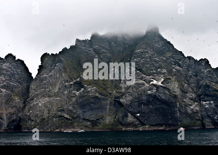 The sea stacs of Stac Lee, Stac An Armin and the island of Boreray with sea bird colonies, Hilda in the St Kilda archipelago Stock Photo