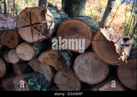 Firewood stacked and ready on a crisp and colorful Autumn morning in the North Georgia Mountains. (USA) Stock Photo