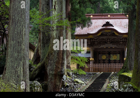 Forest of giant cypress trees guards the entry to Chokushimon Gate at Eiheiji Zen Buddhist Temple in the mountains of Fukui Stock Photo