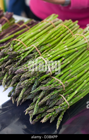 Fresh asparagus at Albany Farmers Market. Albany, Western Australia, Australia Stock Photo