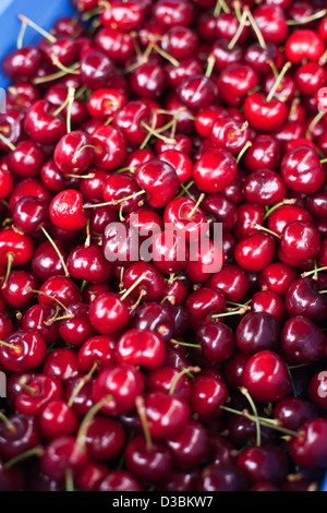 Fresh cherries at Albany Farmers Market. Albany, Western Australia, Australia Stock Photo