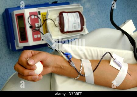 (dpa) - A young woman is donating blood for the German Red cross (DRK) in Brandenburg, Germany, 8 July 2003. The DRK is dependent on donors. Especially in the sommer months the DRK asks for donations in order to avoid bottle necks in the holiday season. 400 to 500 blood preserves have to be collecte Stock Photo