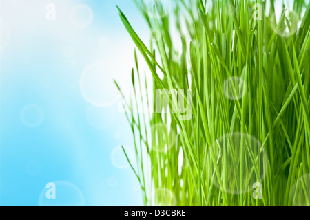 Spring background with abstract bokeh, natural grass and sky Stock Photo
