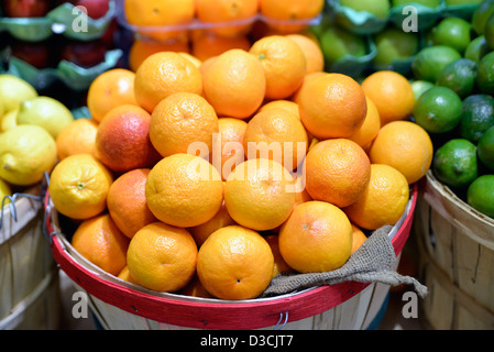 Bushels of Oranges, Lemons and Limes, Displayed in a Retail Gourmet Food Market Stock Photo