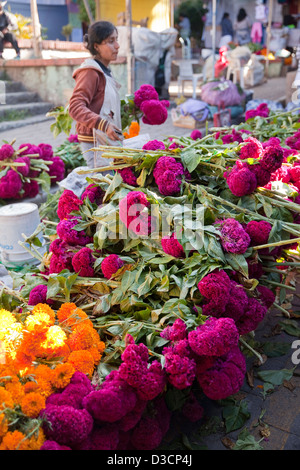 Woman at market in Villa de Etla selling flowers for Day of the Dead festival, Mexico. Stock Photo