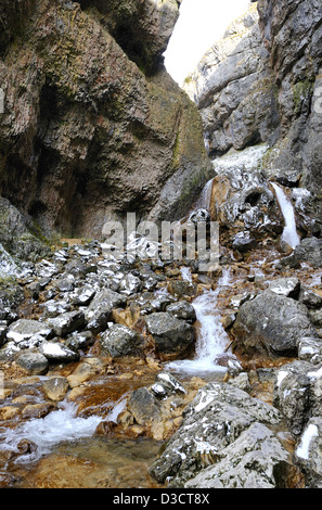 Gordale Scar a limestone ravine in the Yorkshire dales with Gordale beck forming a waterfall through the Limestone cliffs. Stock Photo