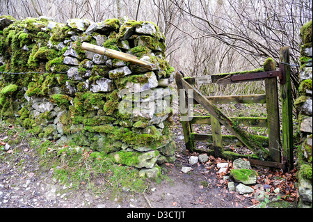 Old wooden gate attached to a post against a moss covered dry stone wall Stock Photo