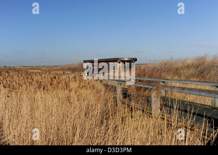 Rainham Marshes RSPB Nature Reserve by the River Thames Essex UK Stock Photo