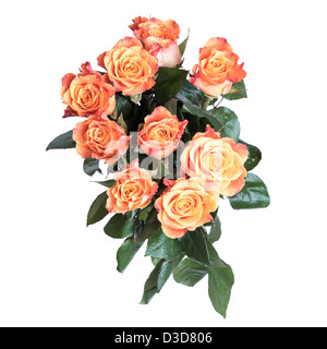 Bouquet of red and yellow roses flowers top view above isolated on white background Stock Photo