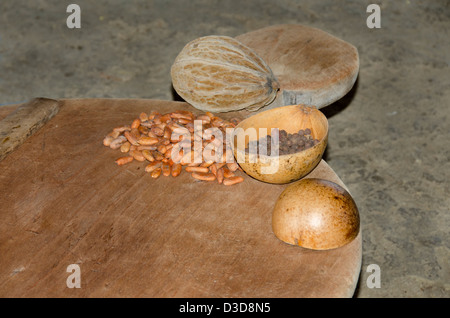 Belize, Punta Gorda, Agouti Cacao Farm. Plantation owner, Elandio Pop, family farm home. Dried coco beans. Stock Photo