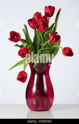 Vase of drooping red tulips Stock Photo - Alamy