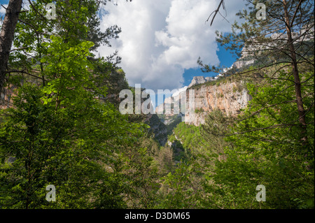 The Anisclo Canyon. a limestone gorge in the Ordesa y Monte Perdidio National Park, Huesca, Aragon, Spain Stock Photo