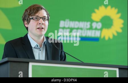 Jan Haude, state party chairperson of Alliance 90/The Greens, talks at the Lower Saxony Green Party convention in Hanover, Germany, 17 February 2013. Photo: Julian Stratenschulte Stock Photo