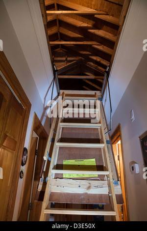 Attic stairs hi-res stock photography and images - Alamy