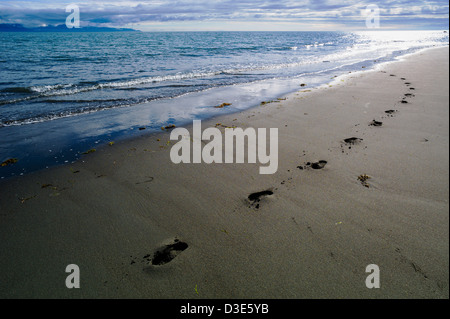 Human footprints along Bishop Beach, Homer, Alaska, USA Stock Photo