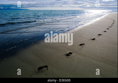 Human footprints along Bishop Beach, Homer, Alaska, USA Stock Photo