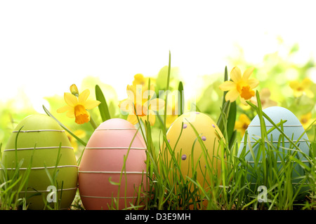 Easter eggs hiding in the grass with daffodil. Stock Photo