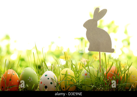 Easter eggs hiding in the grass. Stock Photo