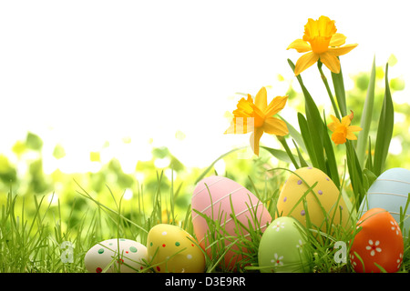 Easter eggs hiding in the grass with daffodil Stock Photo