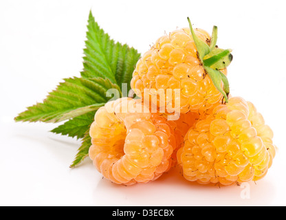 Yellow raspberries isolated on a white background. Stock Photo
