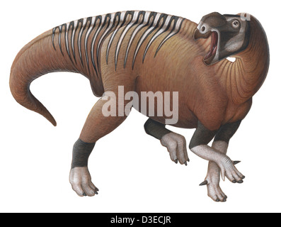 Muttaburrasaurus, a herbivorous ornithopod dinosaur from the early Cretaceous Period. Acrylics and colored pencil. Stock Photo