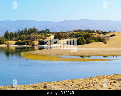 Maspalomas Dunes, Gran Canaria, Canary Islands, Spain Stock Photo