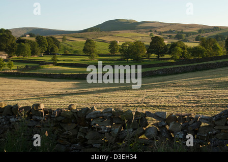 View over backlit drystone wall near Hawes, Wensleydale, Yorkshire Dales National Park, England Stock Photo
