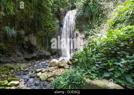 Diamond Falls in the Botanical Gardens of Soufriere in St Lucia, West Indies. Stock Photo