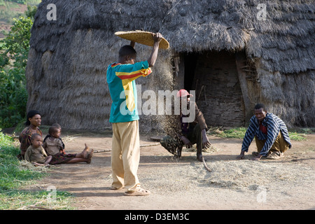 DUGANO KOSHAMBO VILLAGE, WOLAYITA ZONE, SOUTHERN ETHIOPIA, 20TH AUGUST 2008: A family thresh barley they harvested in February Stock Photo