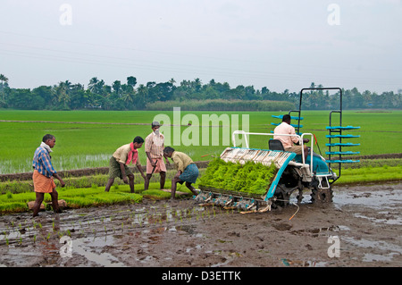 India Indian rice transplanter Alappuzha Alleppey  Kerala Stock Photo