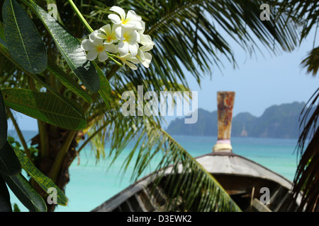 Beautiful Thailand islands shot of the long-tailed boat overlooking the blue ocean, with monoï flowers and palm leafs on the for Stock Photo