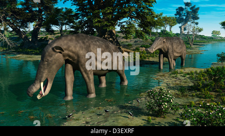 A pair of Platybelodon grazing in a shallow stream. Stock Photo