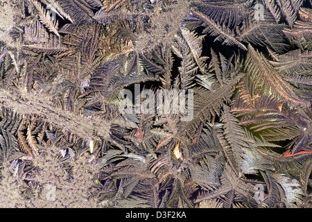 The abstract frosty pattern on glass Stock Photo