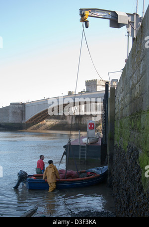 Fishermen positioning a boat ready for their catch to be lifted to the quayside, Conwy in North Wales, UK Stock Photo